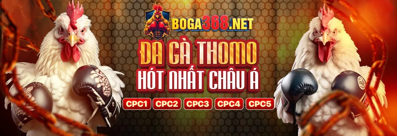 Hình ảnh chính của zom web, thể hiện giải trí trực tuyến hiện đại