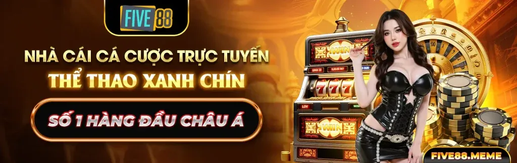 Nâng cao trải nghiệm giải trí với zom web