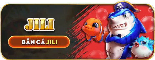 Zom web là gì?